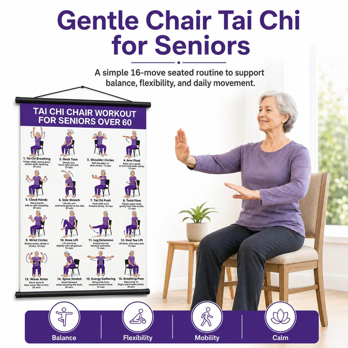 16-Move Seated Tai Chi Exercise Chart for Seniors