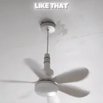 Socket Series | Flush Mount Ceiling Fan with LED Light & Remote Control | Bright Illumination for Enhanced Comfort