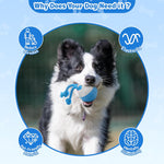 Smart Interactive Pet Ball