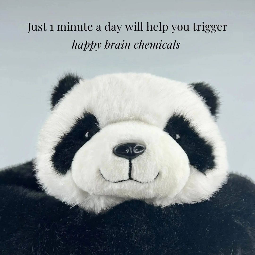 Pookie the Panda Weighted Animal