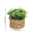 Green Plant Pot