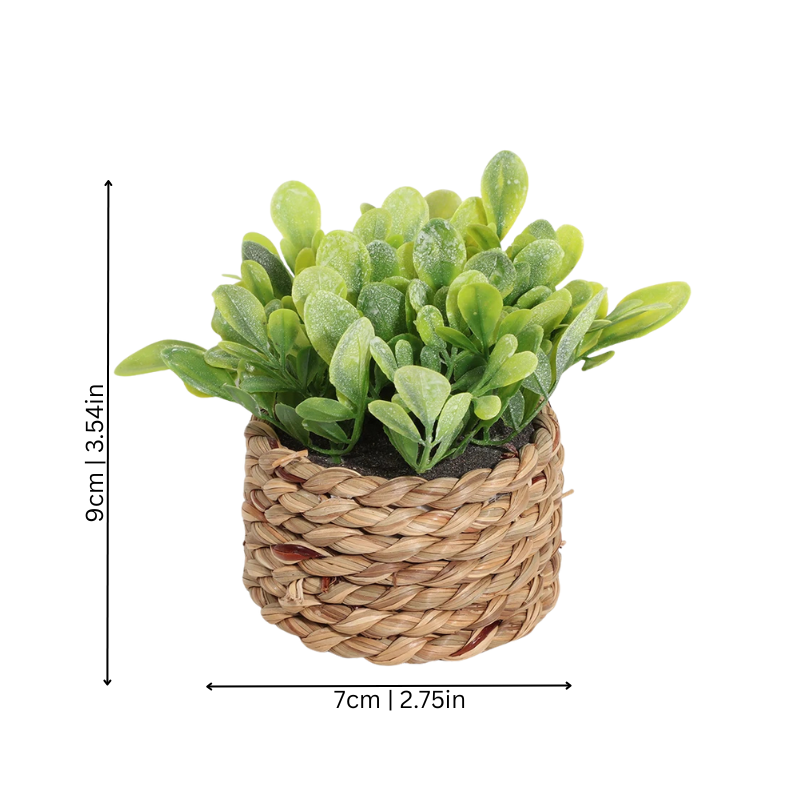 Green Plant Pot
