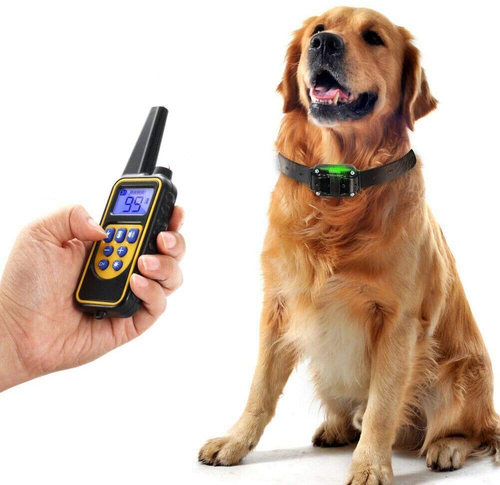 Waterproof Rechargeable Dog Training Collar with Remote Control