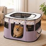 Dotisk Collapsible & Space-Saving Steel-Wire Pet House