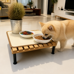 Dotisk Fixed-Height Ergonomic Plastic Feeding Stand