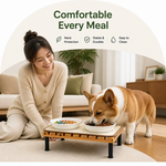 Dotisk Fixed-Height Ergonomic Plastic Feeding Stand