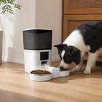 Dotisk WiFi App Control & Stainless Steel Bowl Pet Feeder