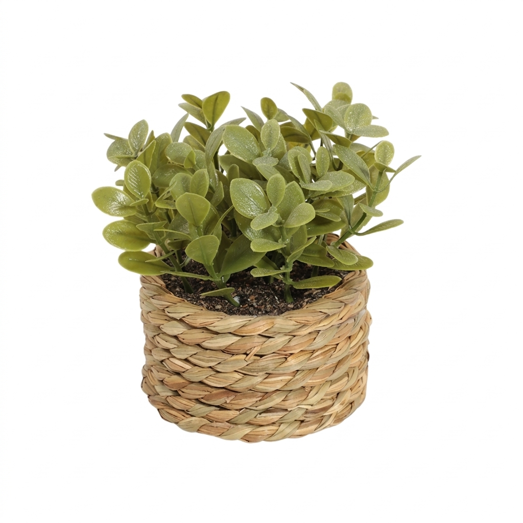 Green Plant Pot