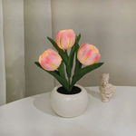 Stylish LED Desk Lamp with Planter Design