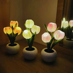 Stylish LED Desk Lamp with Planter Design