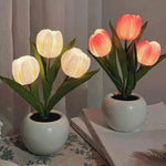 Stylish LED Desk Lamp with Planter Design
