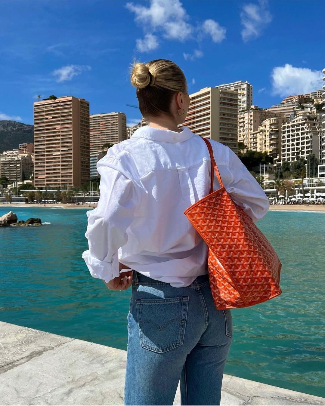 Stylish Women's Everyday Tote Handbag