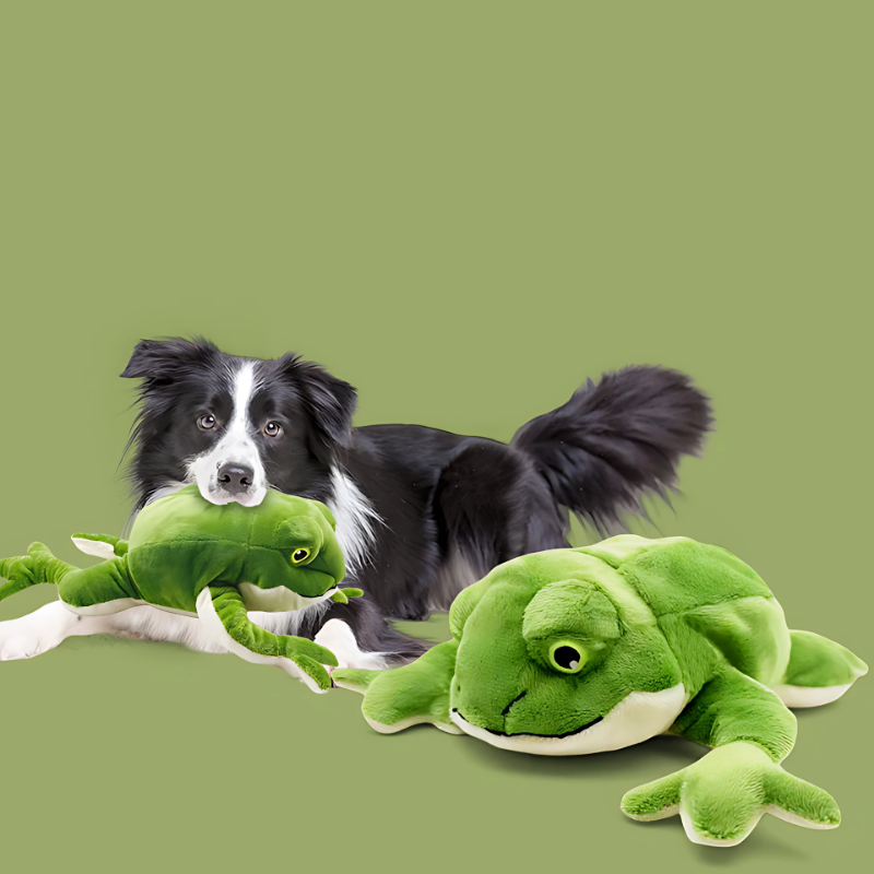 Fun Plush Frog Toy - Dotisk