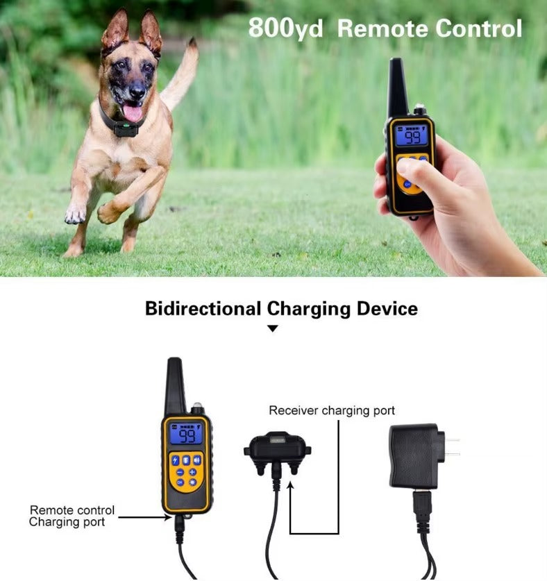 Waterproof Rechargeable Dog Training Collar with Remote Control