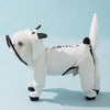 Waterproof Dog Rain Jacket