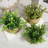 Green Plant Pot