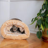 Cozy Pet House