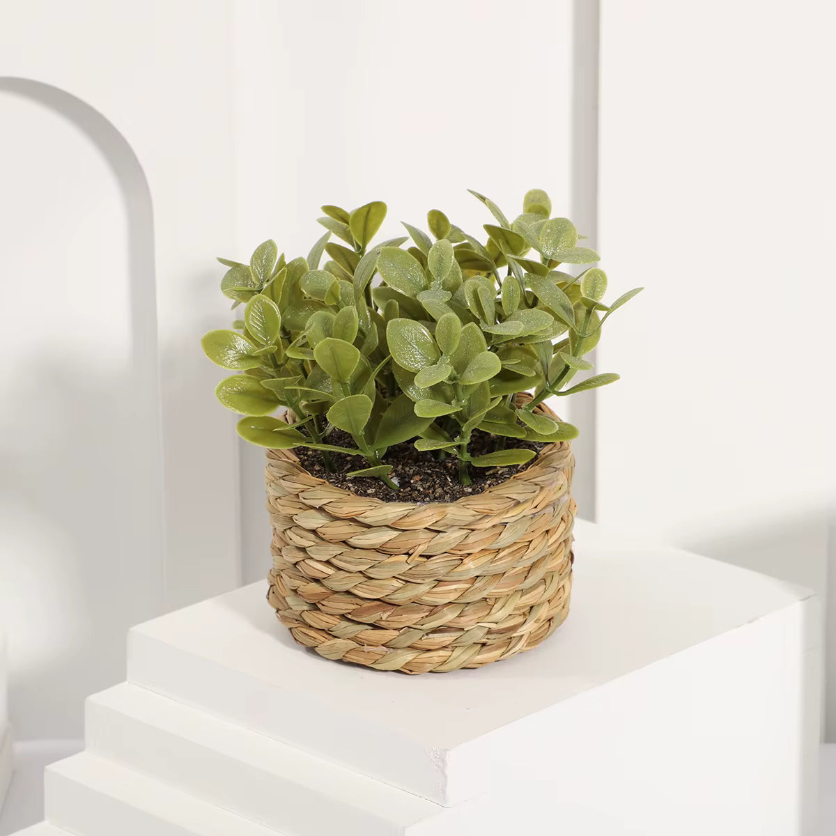 Green Plant Pot