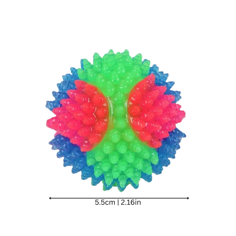 Fun Pet Fetch Toy