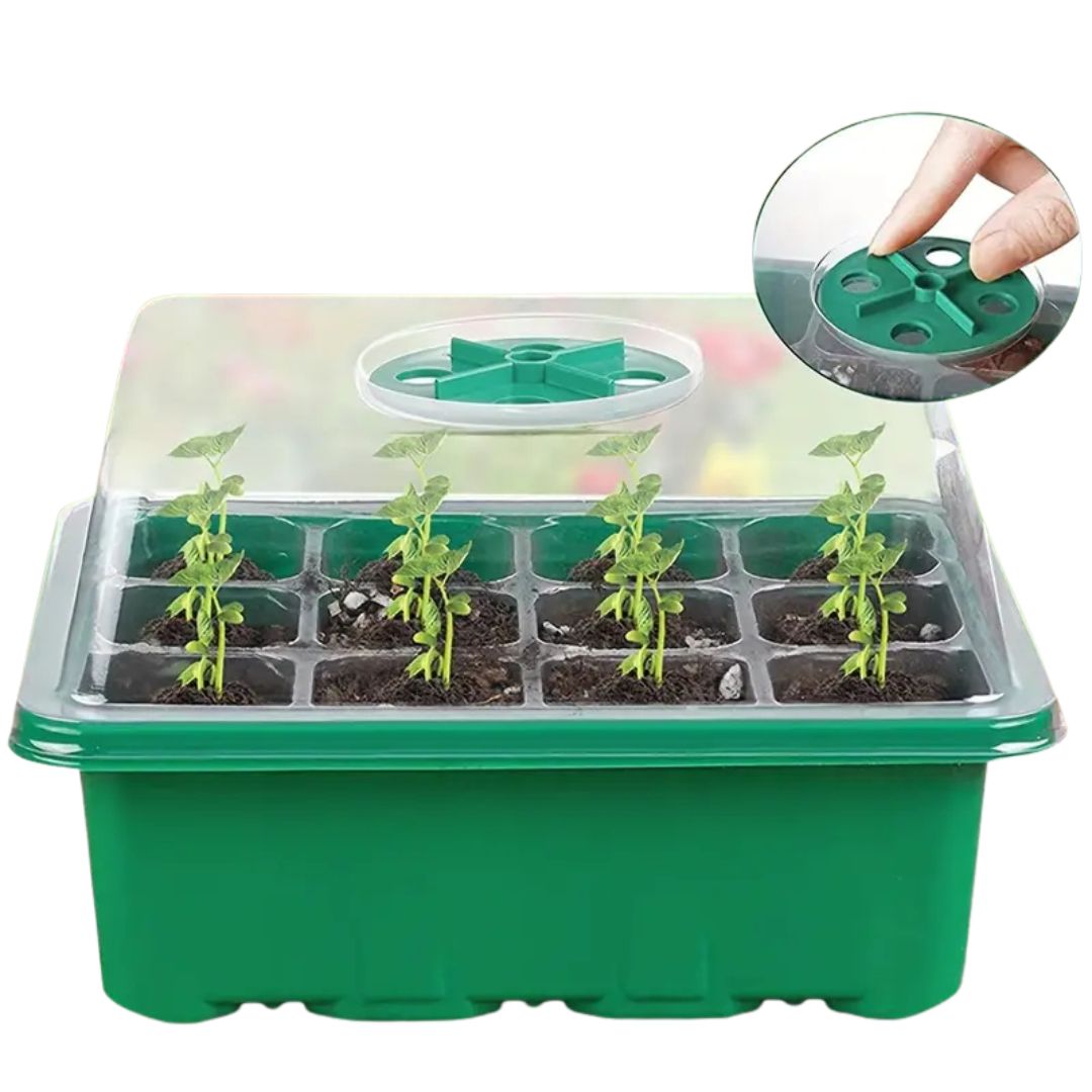 Greenhouse Seedling Box