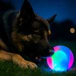 Fun Pet Fetch Toy - Dotisk