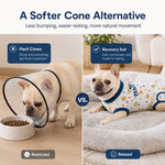 Dotisk Dog Recovery Suit for Post-Surgery Belly Protection - Soft Cone Alternative Onesie for Spay, Neuter & Anti-Lick Care