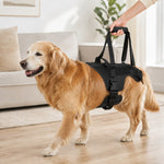 Dotisk Full-Body Dog Lift Support Harness for Stairs, Cars & Limited Mobility