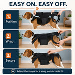 Dotisk Dog Back Support Brace for Senior & Recovering Dogs - Full-Body Mobility Vest for Walking Stability
