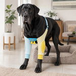 Dotisk Padded Dog Elbow Protector Sleeves for Hard Floors - Dual Front-Leg Coverage for Pressure & Rubbing