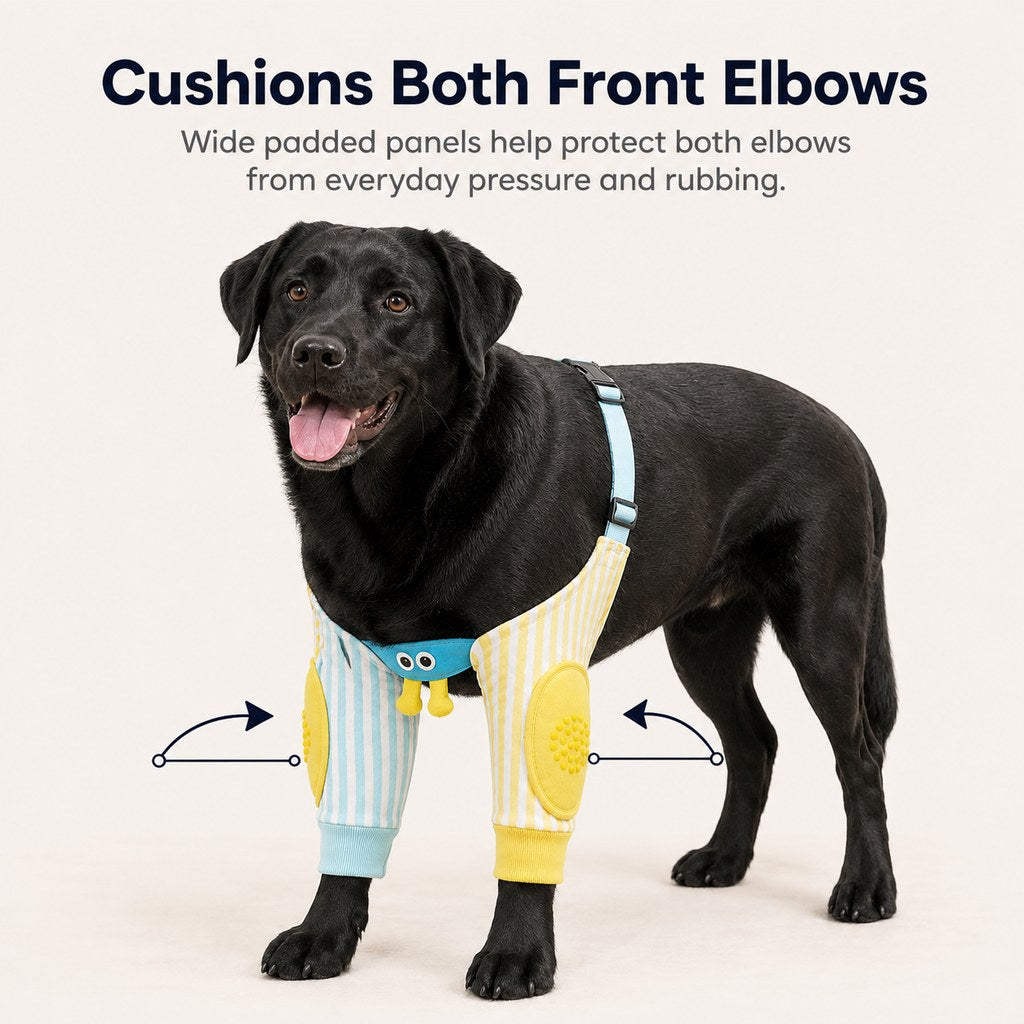Dotisk Padded Dog Elbow Protector Sleeves for Hard Floors - Dual Front-Leg Coverage for Pressure & Rubbing