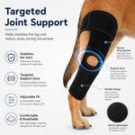 Dotisk Adjustable Dog Joint Support Brace for Daily Walks & Senior Leg Stability
