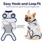 Dotisk Dog Recovery Suit for Post-Surgery Belly Protection - Soft Cone Alternative Onesie for Spay, Neuter & Anti-Lick Care