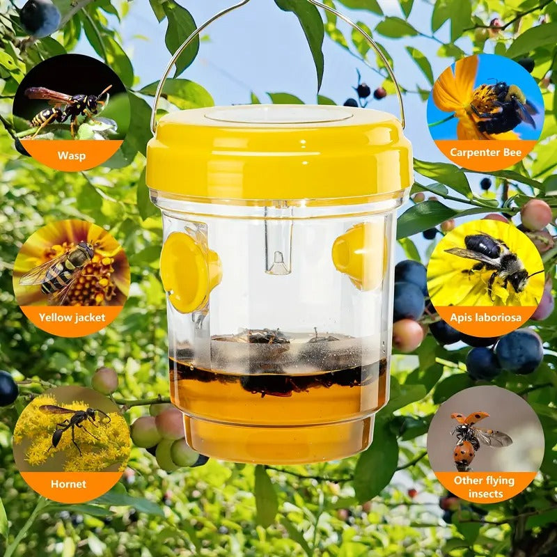 Solar-Powered Bee Catcher