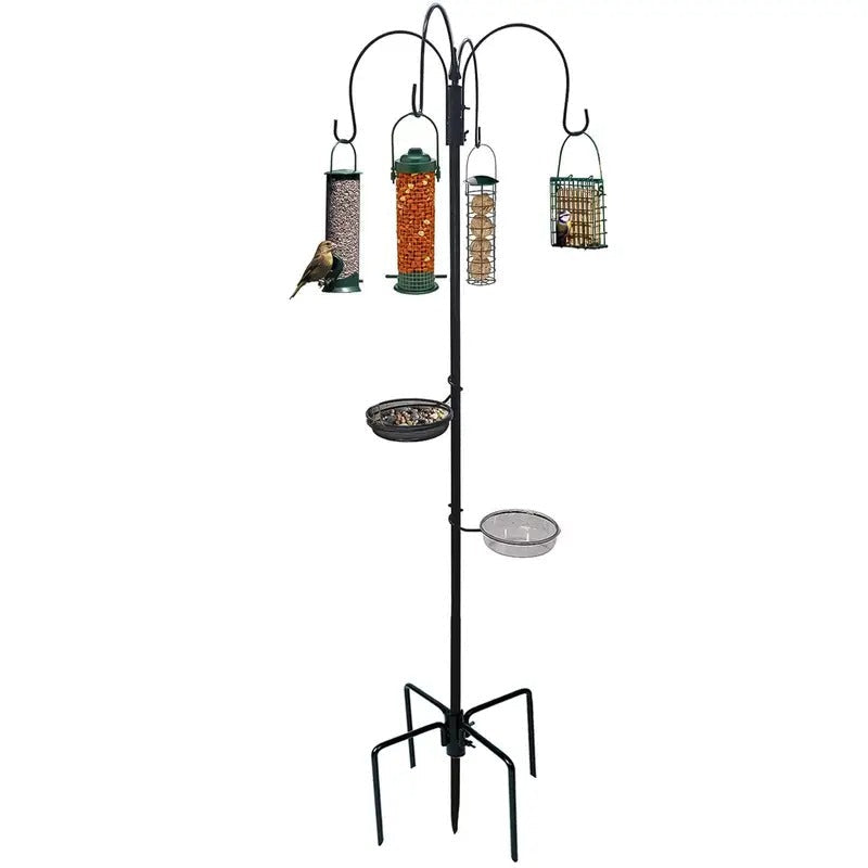 Bird Feeding Station