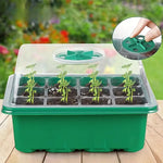 Greenhouse Seedling Box