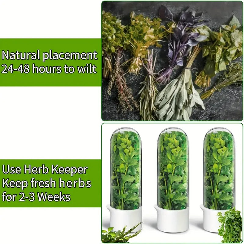Herb Fresh-Keeping Box