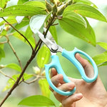 Pruning Shears