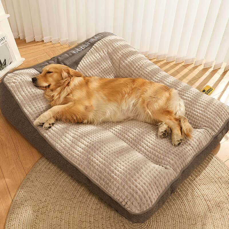 Orthopedic Dog Bed with Raised Bolster Pillow – Plush Crystal Velvet Pet Cushion for Joint Support, Machine Washable Cover for Small