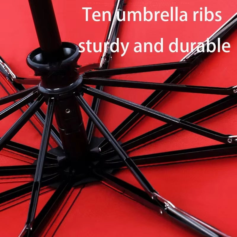 Waterproof Storm Umbrella for Rainy Days
