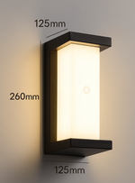Outdoor Motion Sensor LED Wall Light