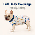 Dotisk Dog Recovery Suit for Post-Surgery Belly Protection - Soft Cone Alternative Onesie for Spay, Neuter & Anti-Lick Care