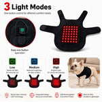 Dotisk FrenchieGlow Red Light Comfort Vest for French Bulldogs - USB-Powered or Built-In Battery At-Home Back, Belly & Hip Comfort After Walks