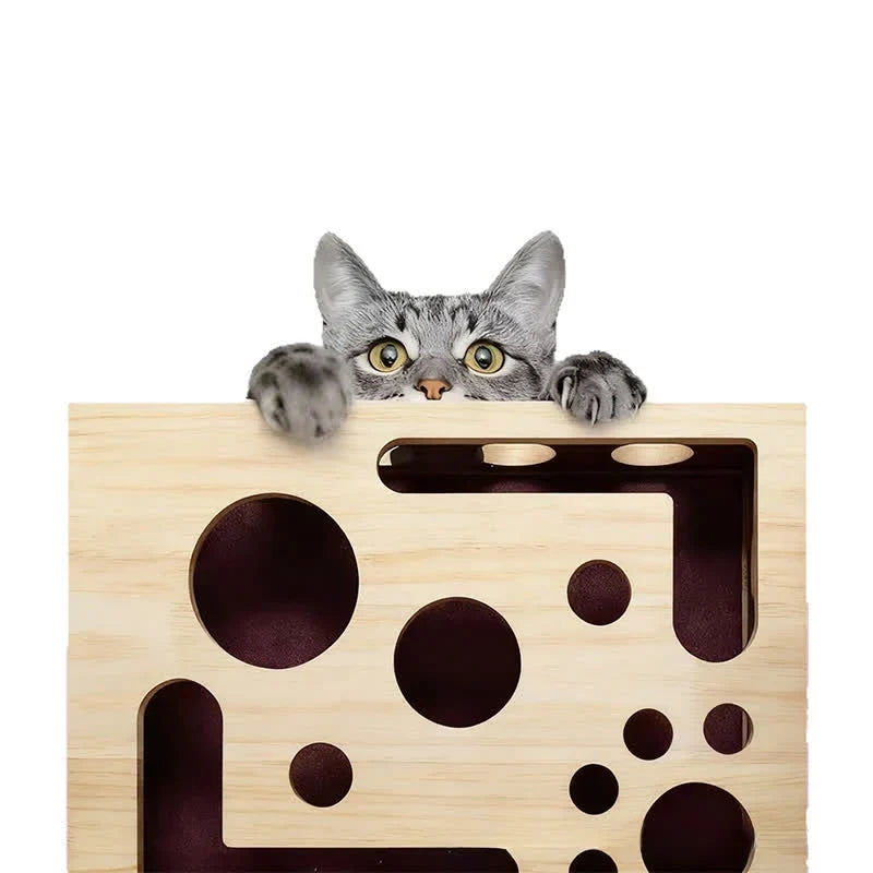 Cat Nail File Enrichment Box