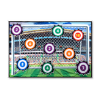 Targeted Soccer Tracker