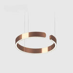 Circular LED Ceiling Fixture Aluminum Ring 20 in Adjustable Height for Kitchen Island Dining Area Foyer Modern Suspended Halo Light Energy-E