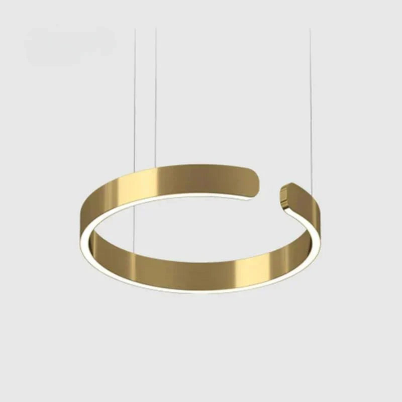 Circular LED Ceiling Fixture Aluminum Ring 20 in Adjustable Height for Kitchen Island Dining Area Foyer Modern Suspended Halo Light Energy-E