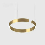 Circular LED Ceiling Fixture Aluminum Ring 20 in Adjustable Height for Kitchen Island Dining Area Foyer Modern Suspended Halo Light Energy-E