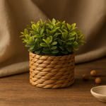 Green Plant Pot - Dotisk