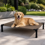 Dotisk Elevated Washable Breathable Mesh Dog Bed