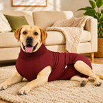 Dotisk Dog Recovery Suit with Pad Layer for Post-Surgery, Heat Cycles & Licking Protection